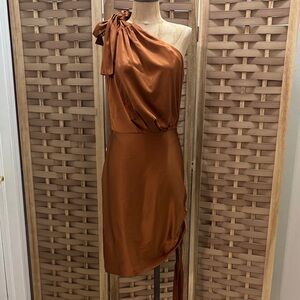 Retrofête Nadia One-Shoulder Stretch-Silk Mini Dress